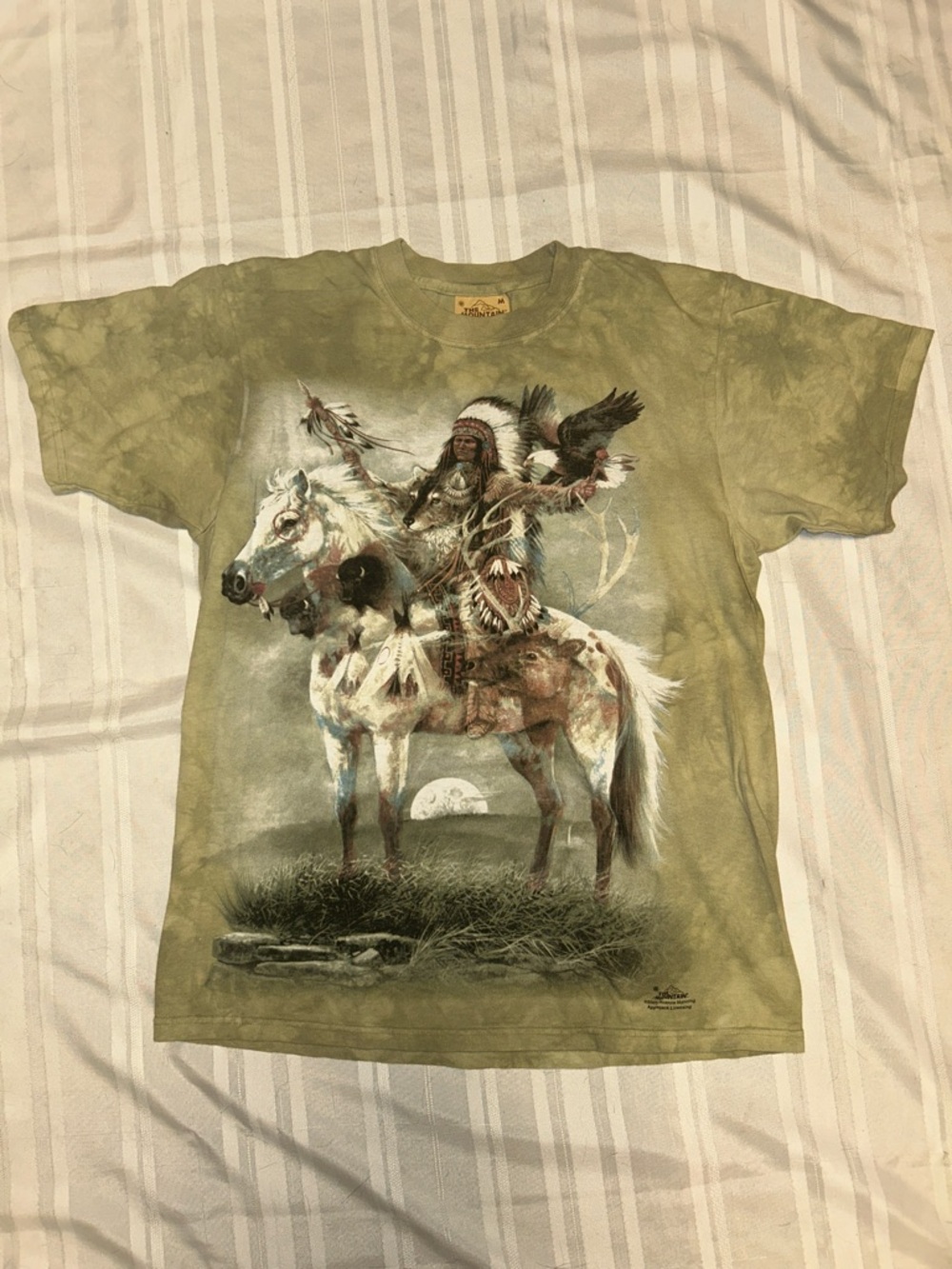 Native Warrior Graphic Tee
